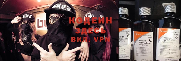 соль ск Вяземский