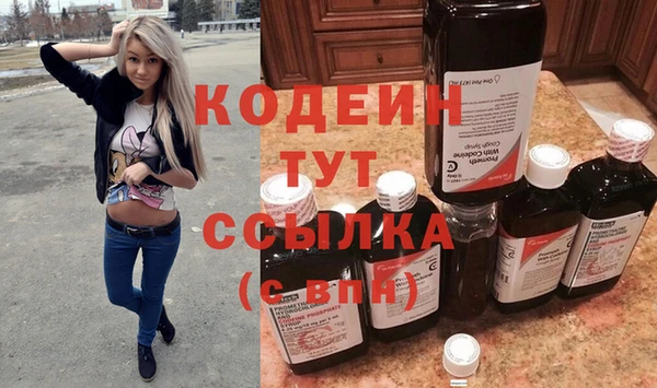 соль ск Вяземский