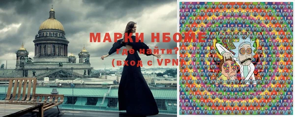 соль ск Вяземский
