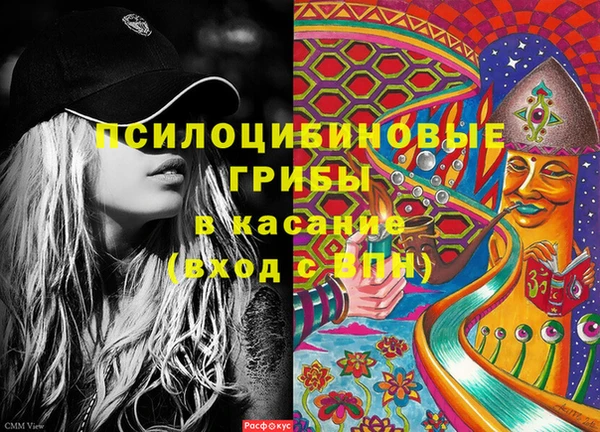 соль ск Вяземский
