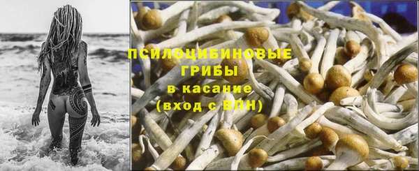 соль ск Вяземский